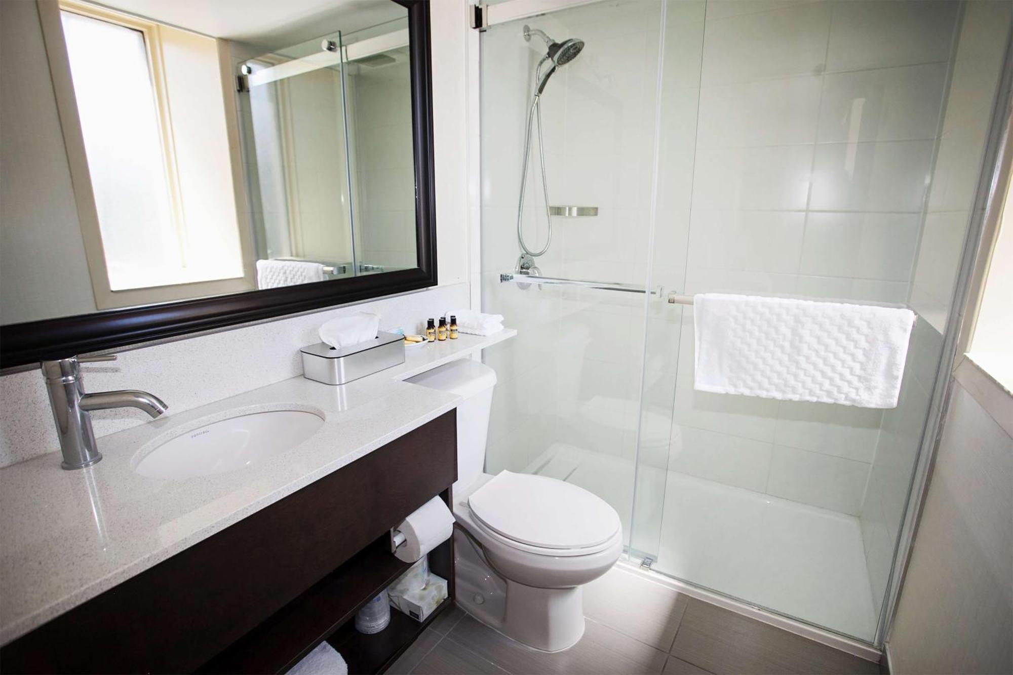 Habitación Deluxe con cama extragrande - No fumadores
