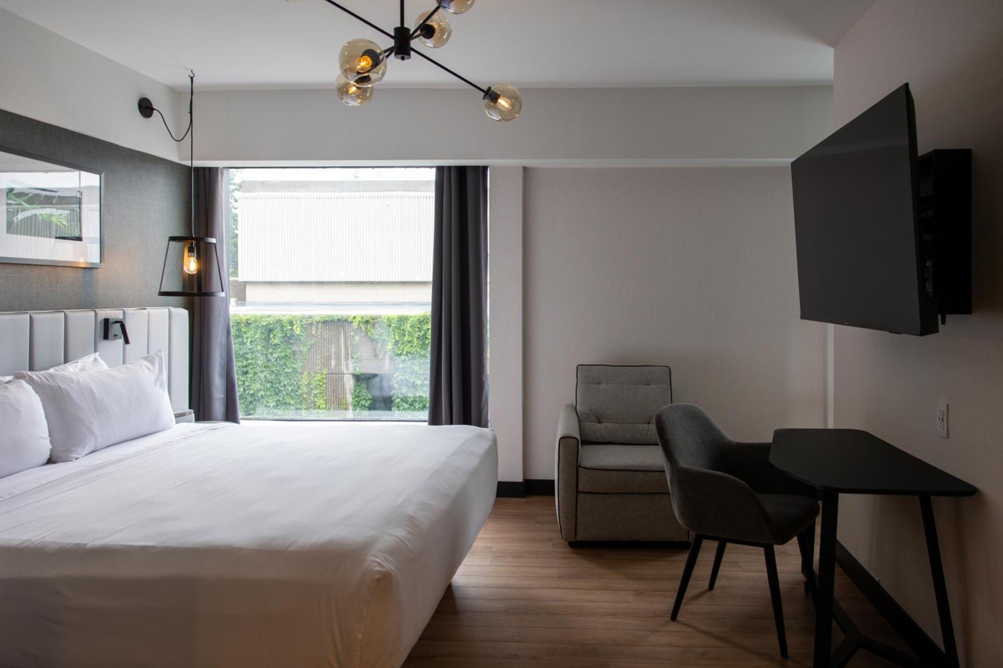 Junior Suite1 King Bed 1 Sofabed,1662979913:JPEG